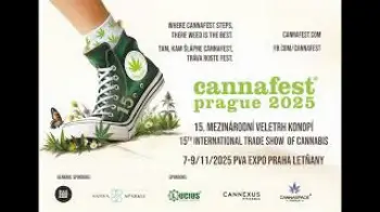 Screenshot of the Video "Cannafest 2025 - Spot Slown Down Radio"