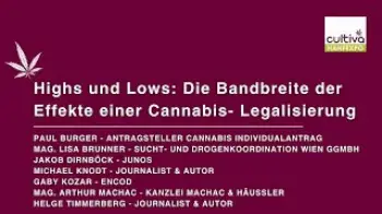 Screenshot of the Video "High and Lows -  Die Bandbreite der Effekte einer Cannabis Legalisierung"