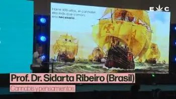 Screenshot of the Video "Cannabis y pensamientos - Prof. Dr. Sidarta Ribeiro (Brasil)"