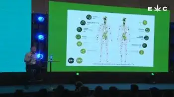 Screenshot of the Video "Sistema endocannabinoide Prof. Dr. Marcelo Morante"