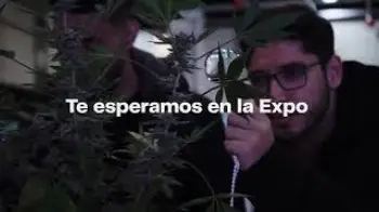Screenshot of the Video "🌿 Expo Cannabis Argentina 2024 | El Evento más grande de Cannabis en Latinoamérica en Buenos Aires"