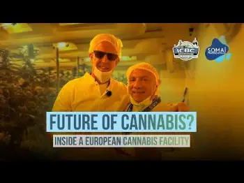 From Cannabis Cultivation to Pharmaceutical Production│Inside SOMAÍ