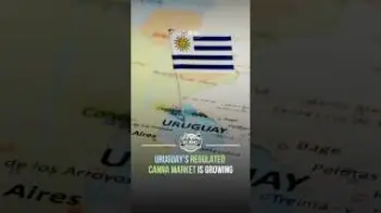 Screenshot of the Video "🇺🇾 Uruguay’s Regulated Cannabis Market Continues to Grow 🌿"