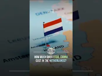Screenshot of the Video "How is legal adult-use cannabis performing in the Netherlands? 🇳🇱"