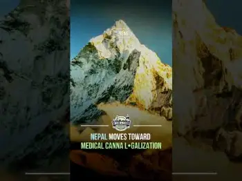 Screenshot of the Video "🇳🇵 Nepal is taking decisive steps toward legalizing medical cannabis."