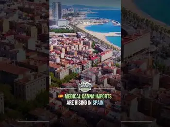 Screenshot of the Video "🇪🇸 Medical Cannabis Imports Are Rising in Spain 🚚"