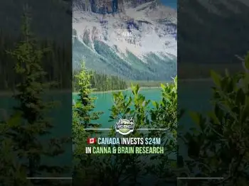 Screenshot of the Video "🇨🇦 Canada Invests $24M in Cannabis & Brain Research 🌿"