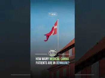 Screenshot of the Video "🇩🇰 How Many Medical Cannabis Patients Are in Denmark?"