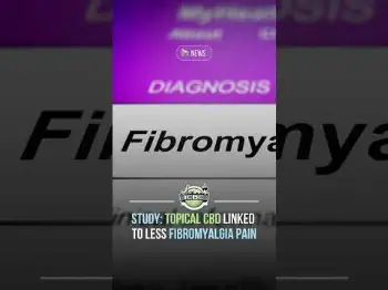 Screenshot of the Video "🩻 Topical CBD Shows Promise for Localized Fibromyalgia Pain"