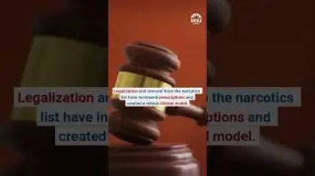 Screenshot of the Video "Germany: The time is now for medicinal cannabis"