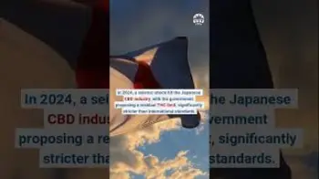 Screenshot of the Video "Strict 0,0001% THC limit could isolate Japan from international CBD markets"