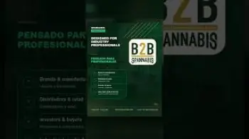 Screenshot of the Video "SpannabisB2B"