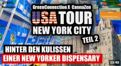 100% LEGAL - Zu Besuch in einer New Yorker Dispensary | Timm Terpentino