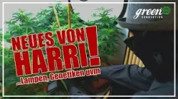 Harris HomeGrow Geheimnis - geht weiter | Teil 1 |