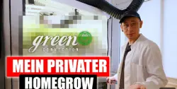 3 CANNABIS Pflanzen auf 800 Liter: Mein Living Soil HOMEGROW Setup
