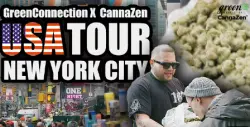NEW YORK CITY Report: Die CANNABIS Realit&auml;t in den lokalen STORES vor Ort | Timm Terpentino