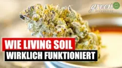 Wie man ein INDOOR &bdquo;Living Soil Beet&ldquo; anlegt | GreenConnection x FLOrganics | HomeGrow K