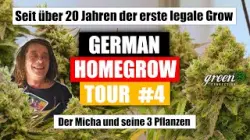Der erste LEGALE GROW, seit &uuml;ber 20 Jahren | DerMicha zeigt uns seine Pflanzen |!GermanHomeGrow