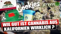 Die Cannabis Kultur in Kalifornien | GreenConnection in San Francisco | California Tour pt.1