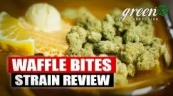 Kanadisches CANNABIS | Waffle Bites im TEST | Strain Review SOUR OG X CAKE