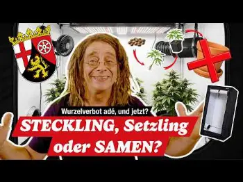 Screenshot of the Video "STECKLINGE, SEEDS und Setzlinge im VERGLEICH: Aber bitte mit WURZELN!"
