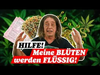 Screenshot of the Video "Keine BLÜTEN - keine ARBEIT?! Deshalb FÜRCHTE ich mich vor Umstellung auf EXTRAKTE!"