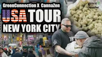 Screenshot of the Video "NEW YORK CITY Report: Die CANNABIS Realität in den lokalen STORES vor Ort | Timm Terpentino"
