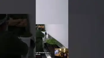 Screenshot of the Video "Profitipp für Stecklinge schneiden | #timmterpentino auf #Twitch"
