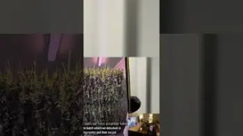 Screenshot of the Video "wer mehr sehen will, checkt twitch.tv/timmterpentino 
wie trocknet ihr eure blüten ? | #timmterpenti"