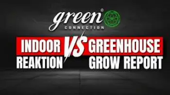 Indoor & Greenhouse in Afrika: SOG Indoor-Anlage & Einblicke ins Greenhouse