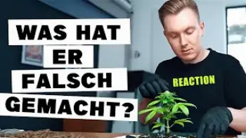 Screenshot of the Video "Ich habe @tomatolix  bei seinem Grow beraten"