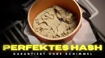 Screenshot of the Video "H@SH Vac -  Mit dieser einfachen Technik perfektes H@SH trocknen"
