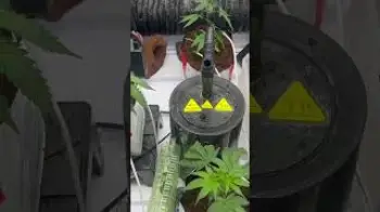 Screenshot of the Video "Erste Runde automatisch bewässern."