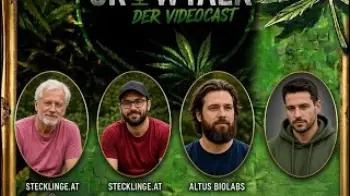 W33dbuddiesGrowtalk E2 | Stecklinge, Invitro Cuts und viele Infos zum HLVD 