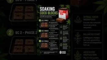 Screenshot of the Video "Vorbereitung Coco Blöcke | preparing coco for Cropsteering"