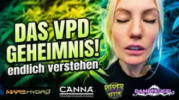 Screenshot of the Video "Die Wahrheit über VPD, das musst du wirklich wissen!"