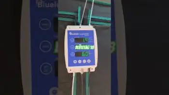 Screenshot of the Video "Blütetag 18, langsam wird es ernst"