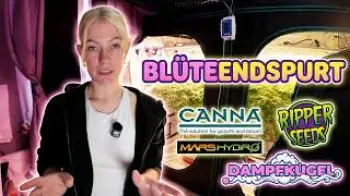 Screenshot of the Video "Meine Pflanzen im Endspurt mit CANNA Aqua Flores im MarsHydro Komplett Set"
