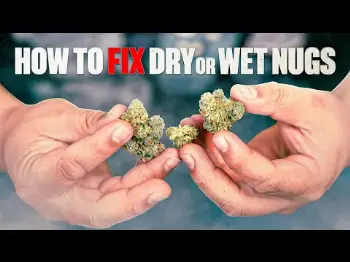 Screenshot of the Video "How To Fix Dry/Wet Nugs…."
