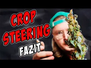 Screenshot of the Video "Crop Steering Fazit: Hat sich der Aufwand gelohnt"