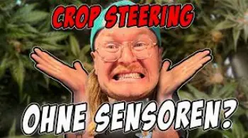 Screenshot of the Video "Crop Steering ohne Sensoren: Der komplette Grow"