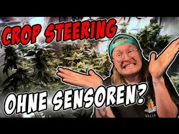 Screenshot of the Video "Crop Steering ohne Sensoren - Funktioniert das ?"