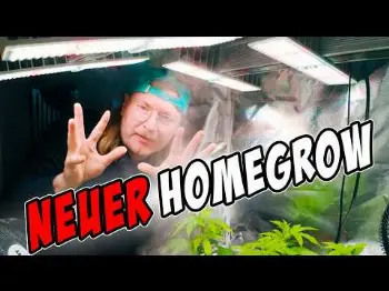 Screenshot of the Video "NEUER HOMEGROW: 4 Pflanzen, 7L Töpfe & Setup-Umbau"