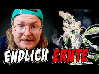 Screenshot of the Video "ENDLICH ERNTE – Saftige Knollen!"