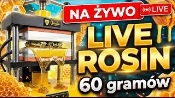 Screenshot of the Video "LIVE 🛑 Cisnę 60 gramów świeżego rosinu i rozdaję fanty"