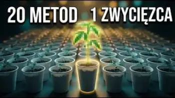 Screenshot of the Video "200 nasion 🌱 Największy TEST kiełkowania — wynik zmienił WSZYSTKO"