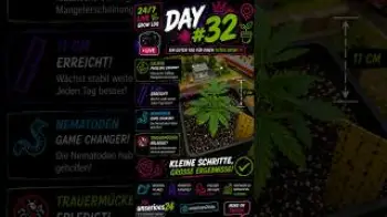 Screenshot of the Video "🌱 Grow Update – Day #32: Gute und schlechte Nachrichten"