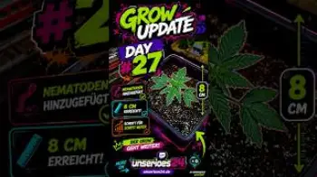 Screenshot of the Video "🌱 Grow Update – Day #27: Verstärkung ist da! 🪱"