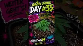 Screenshot of the Video "🌱 Grow Update – Day #35"