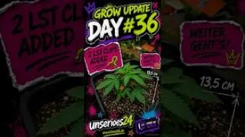 Screenshot of the Video "🌱 Grow Update – Day #36"